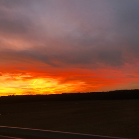 Meet your Posher, Ella - Picture 1 of 1